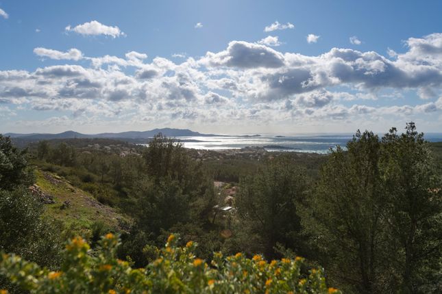 Land for sale in Bandol, Provence Coast (Cassis To Cavalaire), Provence - Var