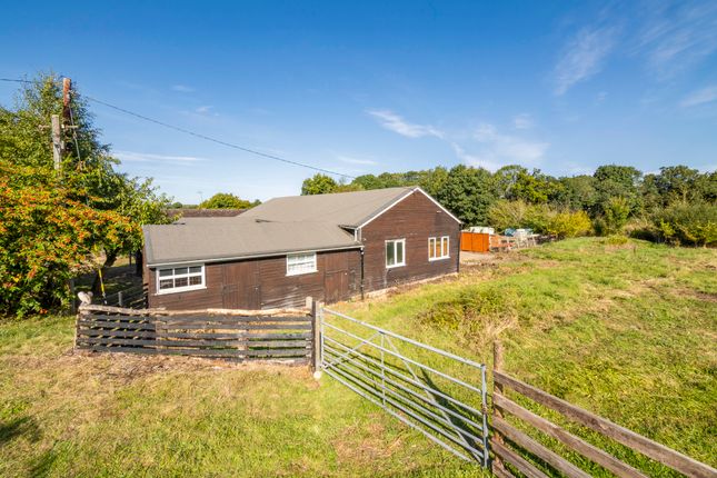 Chad Brook Barn, Old Rectory Lane, Bury St. Edmunds photo 4