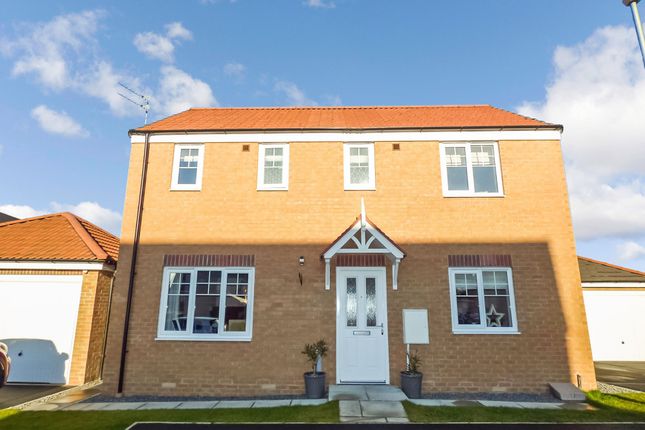 Thumbnail Detached House For Sale In Longhorsley Green Ashington Thumbnail Detached House For Sale In Longhorsley Green Ashington