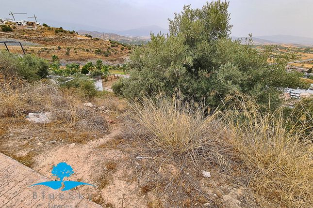 Land for sale in Coin, Malaga, Spain