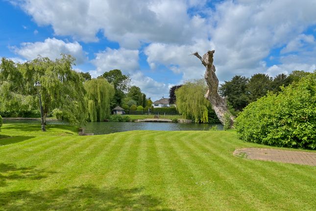 Micklems,, Friary Island, Staines-upon-Thames photo 4