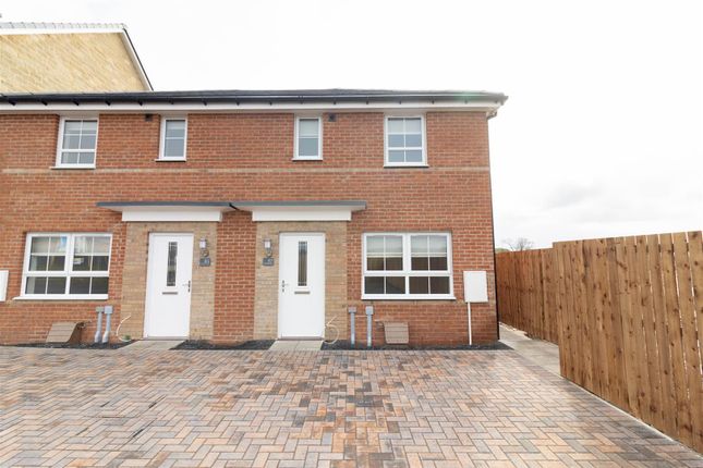 Semi-detached house to rent in Lavender Way, West Meadows, Cramlington