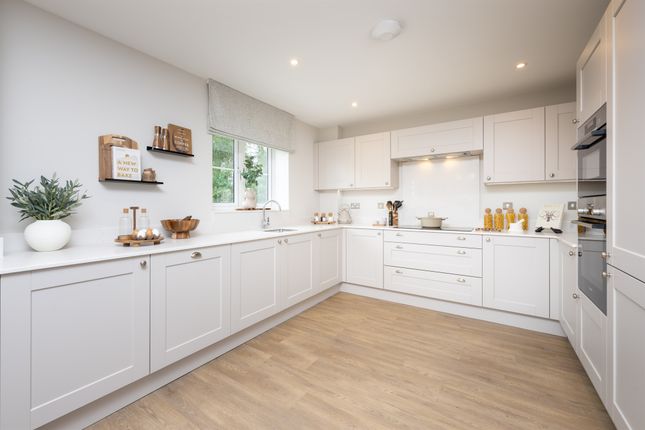 Plot 13., The Red Maple, Moor Hall Park, Battle photo 3