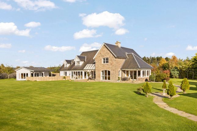 Thumbnail Detached house for sale in Westfield, By Auchterarder