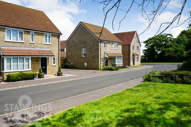 Thumbnail Detached house for sale in Dye Road, Watton, Norfolk