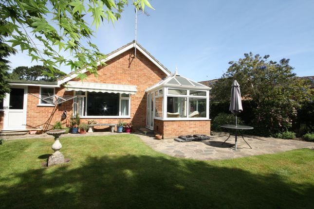 Detached bungalow to rent in Post House Lane, Great Bookham