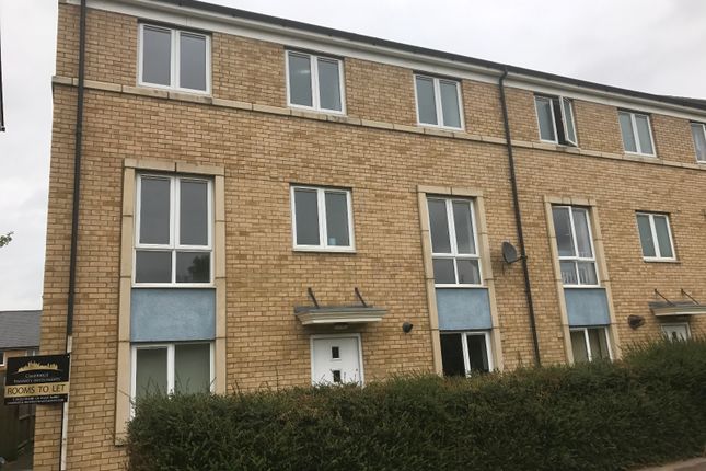 Room 6: 1,, Graham Road, Cambridge photo 5