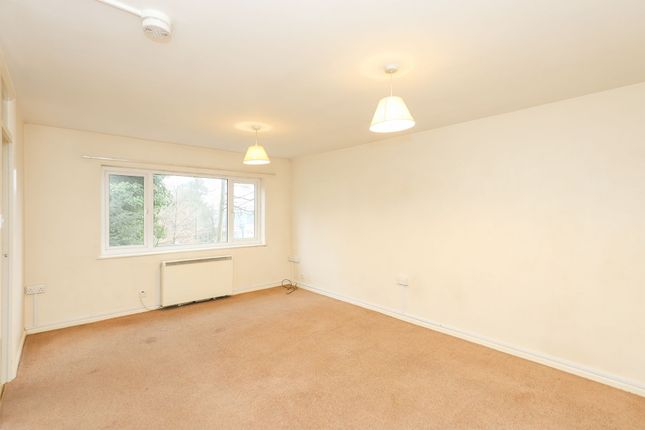 Flat 32 Endcliffe Vale Road, Hallam Chase, Sheffield photo 4