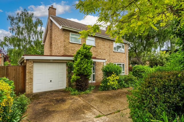 Thumbnail Detached house for sale in Rockmill End, Willingham