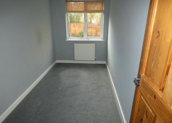 Picture8
