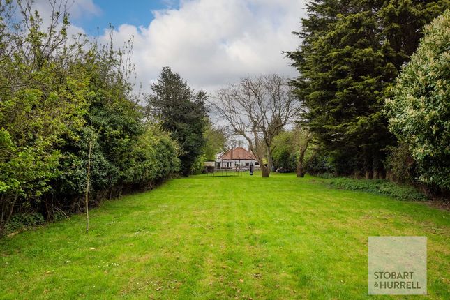 Bobtail End, Catfield Road, Great Yarmouth photo 2