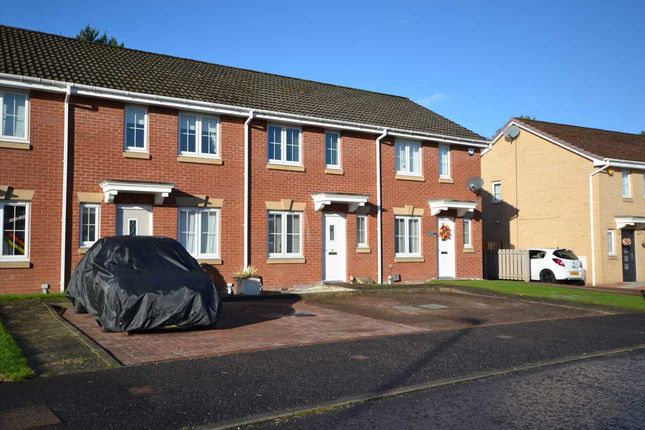Thumbnail Terraced house for sale in Martyn Grove, Cambuslang, Cambuslang