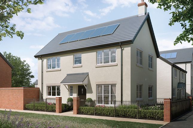 Kingfisher_Plot_3015_Lr