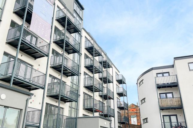 Untitled Design - 2025-11-14T104308.707.Png