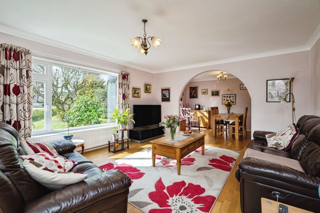 12, Warren Green, Norwich photo 2