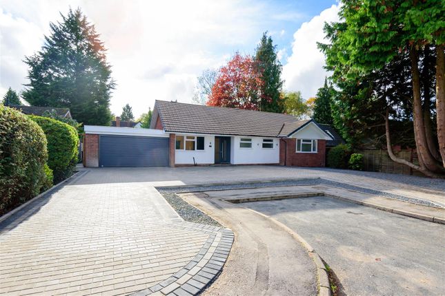 Thumbnail Bungalow to rent in Beauchamp Road, Solihull