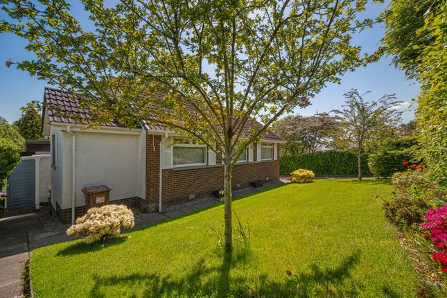 9 Greenfield Court, Glasgow photo 2