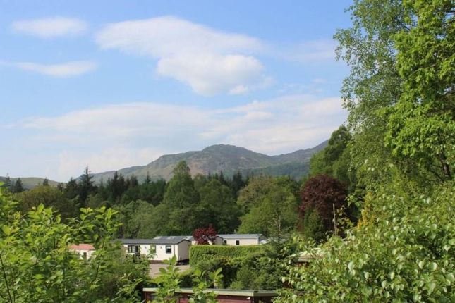 65, Twenty Shilling Wood Holiday Park, Comrie photo 3