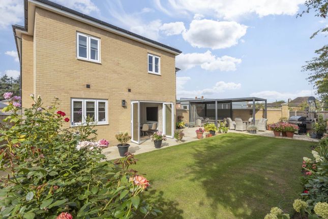 13, Red Admiral Way, Norwich photo 4