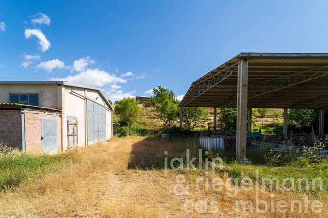 Farm for sale in Italy, Tuscany, Siena, Asciano