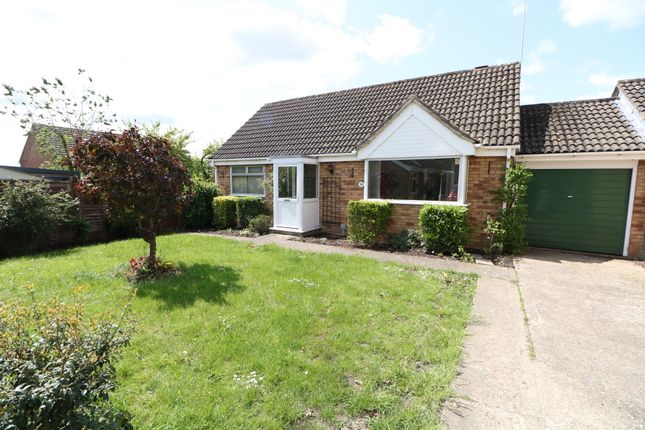 Thumbnail Detached bungalow to rent in Fisher Road, Diss