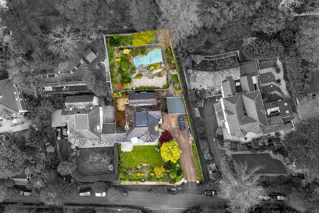 26 College Road, Newton Abbot photo 4