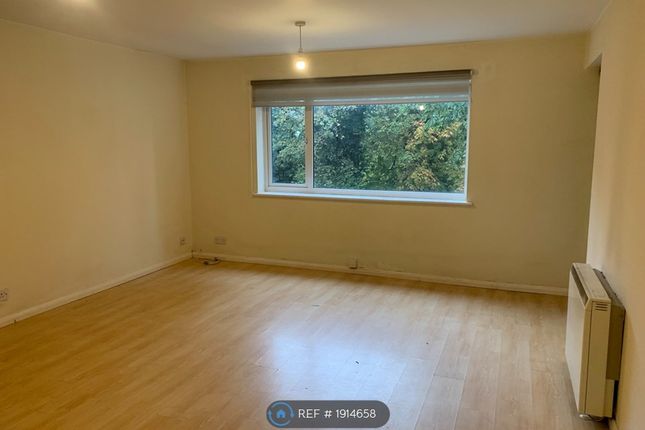 Zoopla flat shop to rent