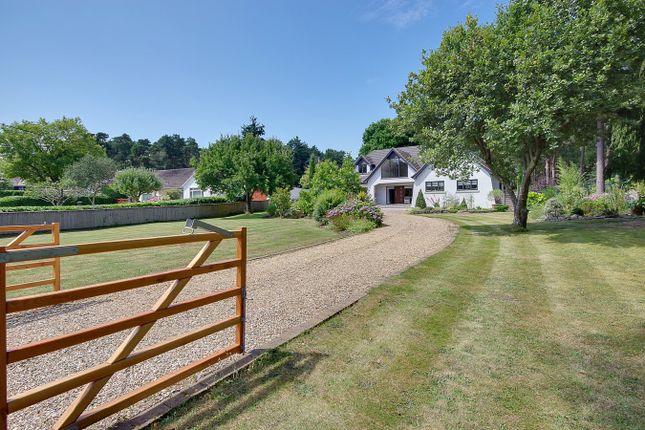 19, Avon Avenue, Ringwood photo 3