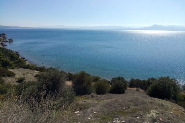 Land for sale in Perachora, Korinthia, Peloponnese