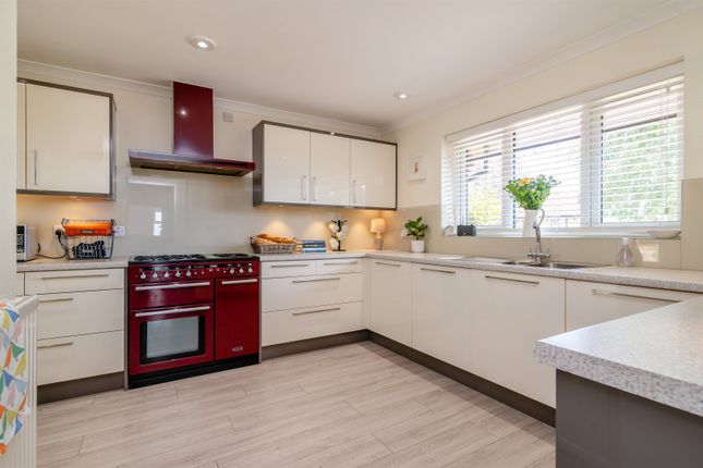 6, Shepherd Drive, Langstone photo 3