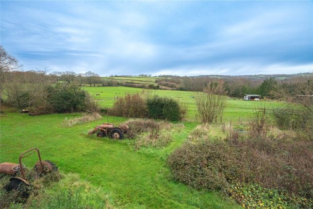 Hedgehog Cottage,, Punnetts Town, East Sussex photo 3