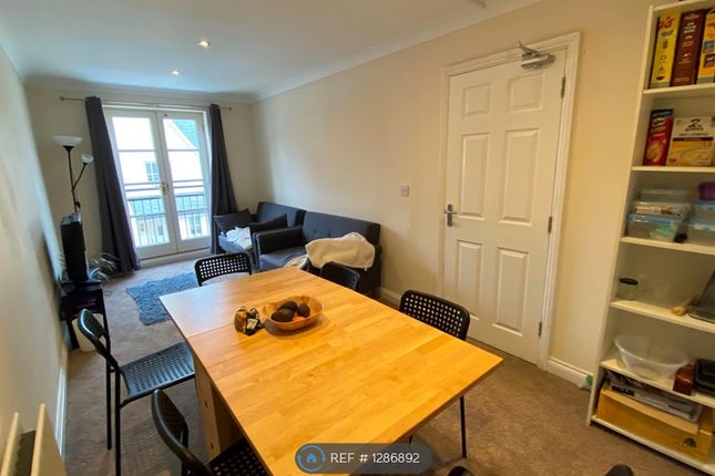 Thumbnail Terraced house to rent in Albany Gardens, Colchester