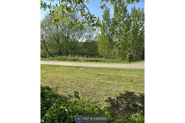 View Over Rear Garden Fence To River