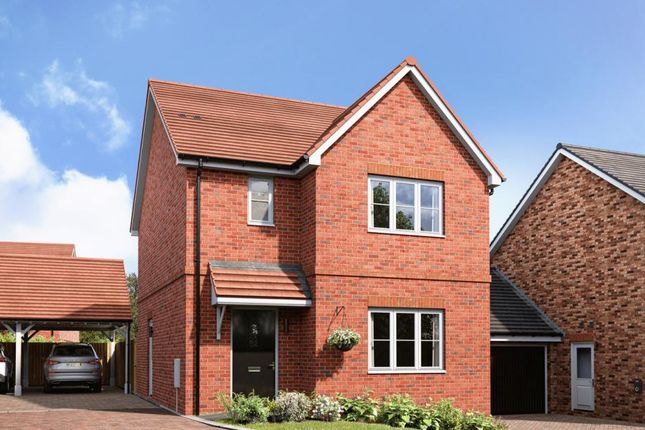 Dandara - Zoopla -