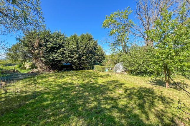 Ivy Cottage, Standard Hill, NINFIELD photo 2