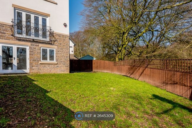 Exterior - Rear Garden