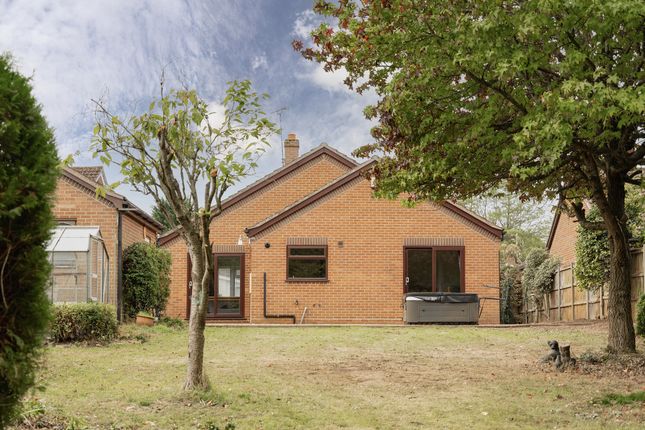 20, Bradshaw Road, Norwich photo 3