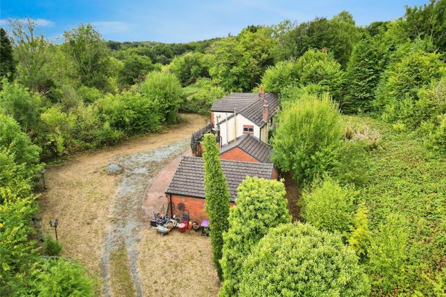 The Wern Rock,, Treflach, Shropshire photo 2