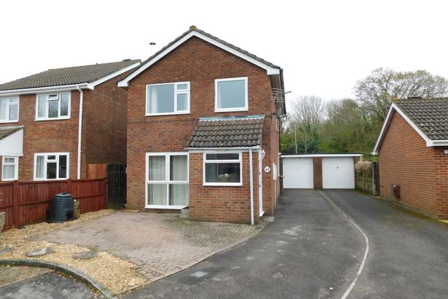 Detached house to rent in The Warren, Holbury, Southampton
