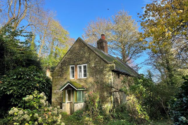 Thumbnail Detached house for sale in Church Road, Shanklin