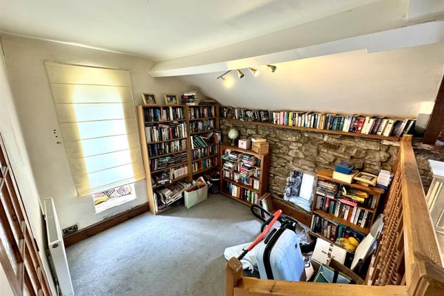 Study Area