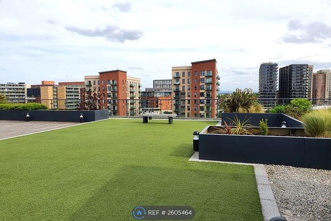 Roof Terrace