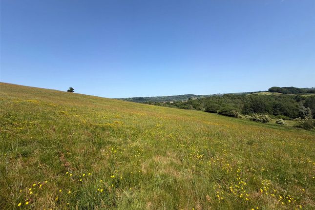 Land East Of Woods Lane,, Beaminster, Dorset photo 2