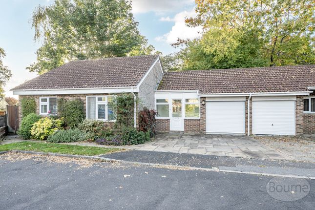 Dbb7d01B-Ddef-4Fe...