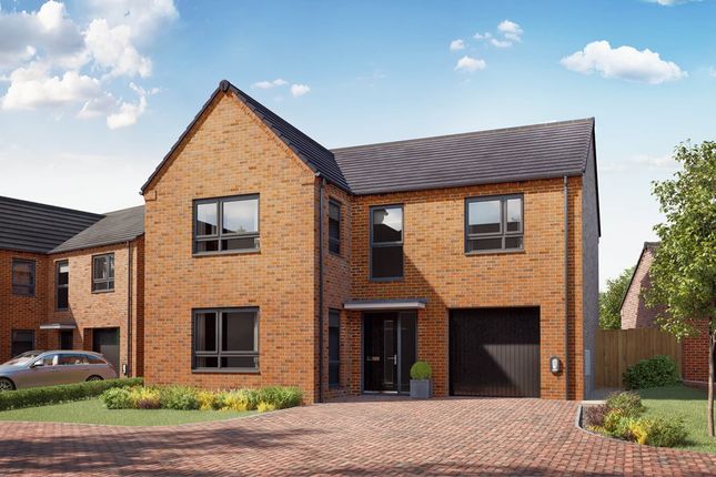 An Artists Impression Of The Kitham