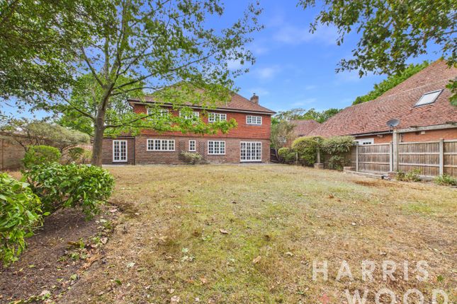 22 Les Bois, High Road, Colchester photo 4