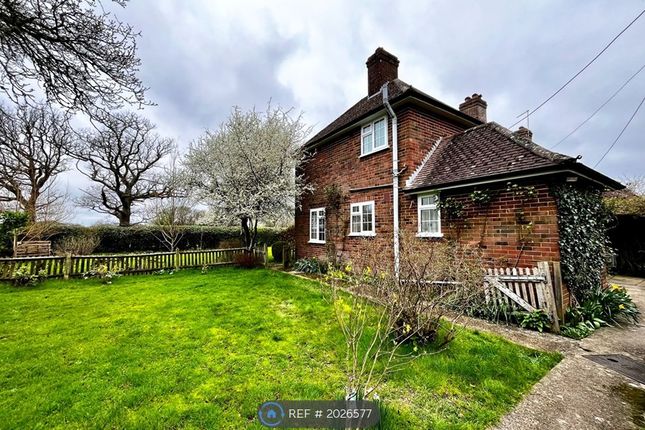 Thumbnail Semi-detached house to rent in Little Champions Farm Cottages, West Grinstead, Horsham