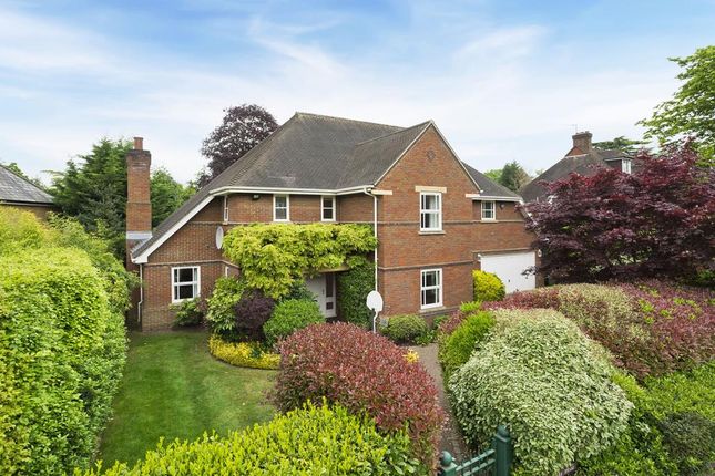 Thumbnail Detached house to rent in Crossfield Place, Weybridge