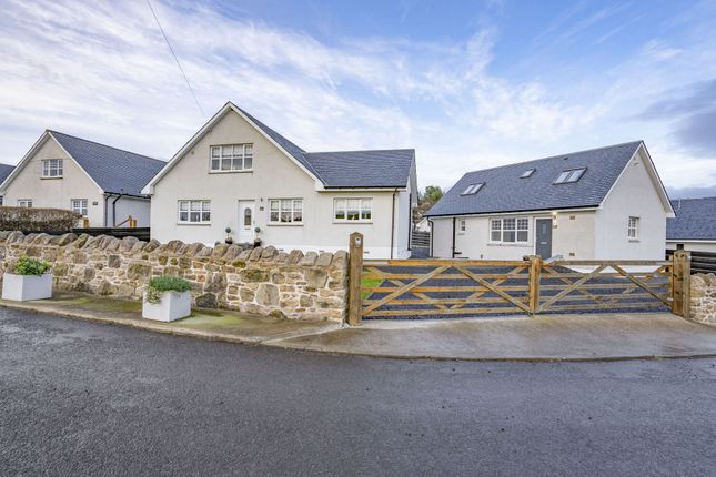 Thumbnail Detached house for sale in Small Holdings, Sauchenford West, Plean, Stirling