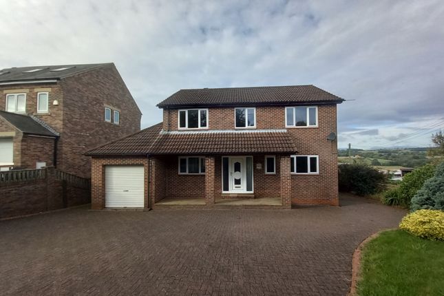 Thumbnail Detached house for sale in 10 Lydia Terrace, Newfield, Bishop Auckland, County Durham